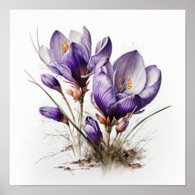 Lila Crocus Blume Art Print Poster (Vorne)