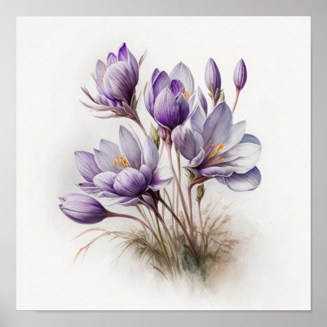 Lila Crocus Blume Art Print Poster (Vorne)