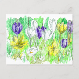 Lila Crocus Blume Forest Floor Frühjahr Kunst Postkarte
