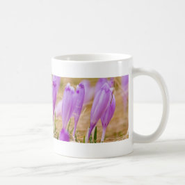 Lila Crocus-Blume im Gras Tasse