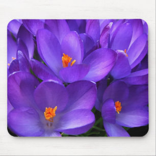 Lila Crocus Garden Blume Mousepad