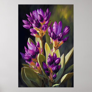 Lila Curcuma Blume Art Print Poster