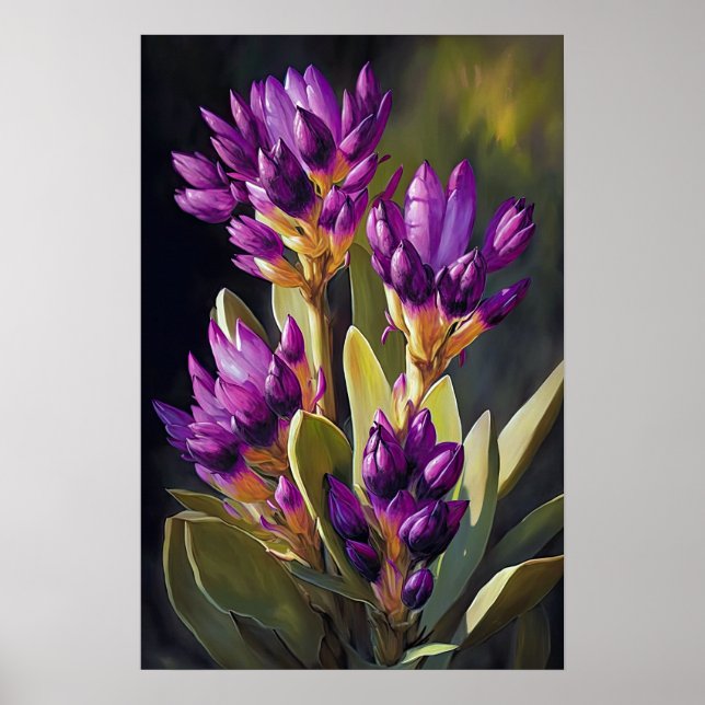 Lila Curcuma Blume Art Print Poster (Vorne)