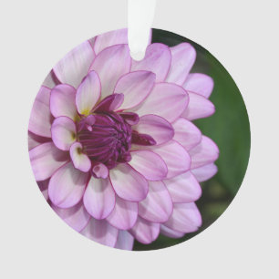Lila Dahlia Blume Blüten Weihnachtsschmuck Ornament
