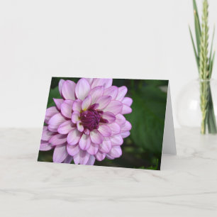 Lila Dahlia-Blume-Blütenkarte Karte