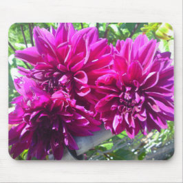 Lila Dahlia Blume Mouse Pad Mousepad
