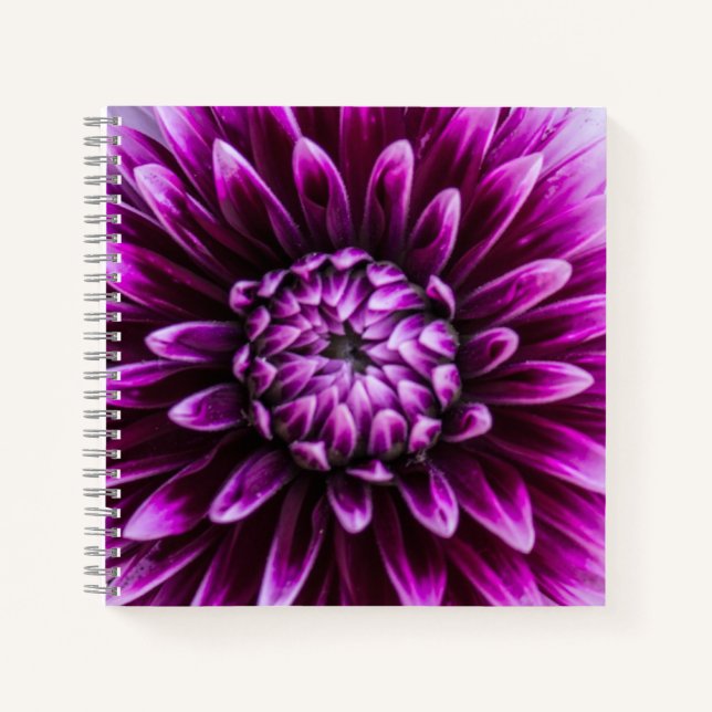 Lila Dahlia Herz Notizbuch (Vorderseite)