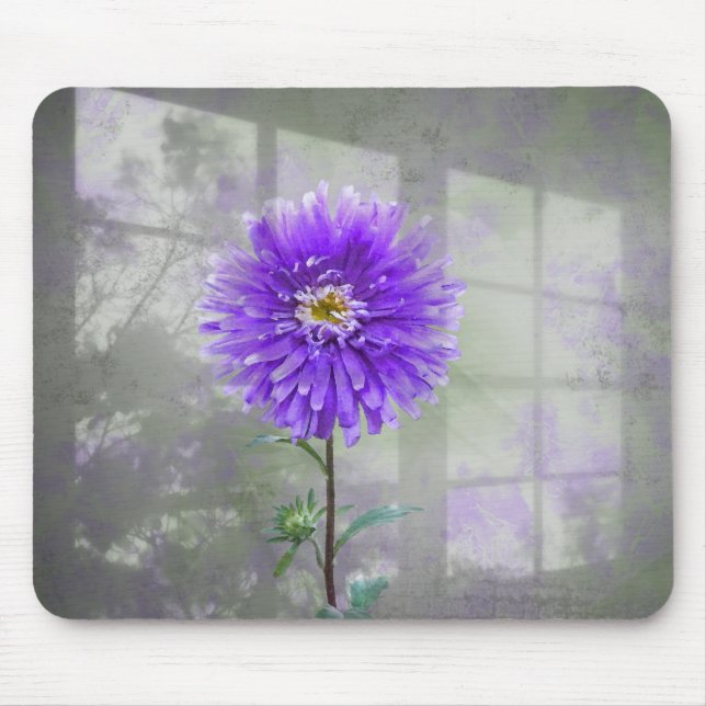 Lila Dahlia in Window Shadow Mousepad (Vorne)