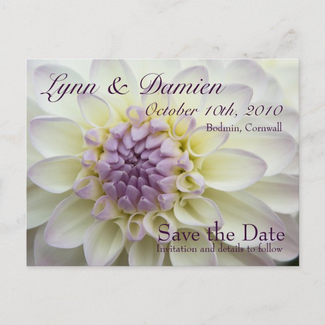 Lila Dahlia ・ Save the Date Postkarte (Vorderseite)