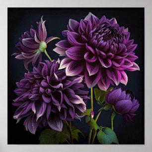 Lila Dahlias Blume Art Print Poster