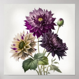 Lila Dahlias Blume Art Print Poster