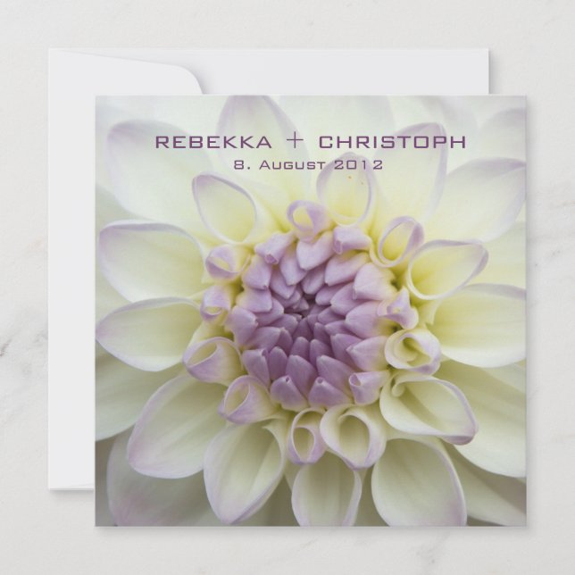 Lila Dahlie • Hochzeits-Einladung Einladung (Vorderseite)