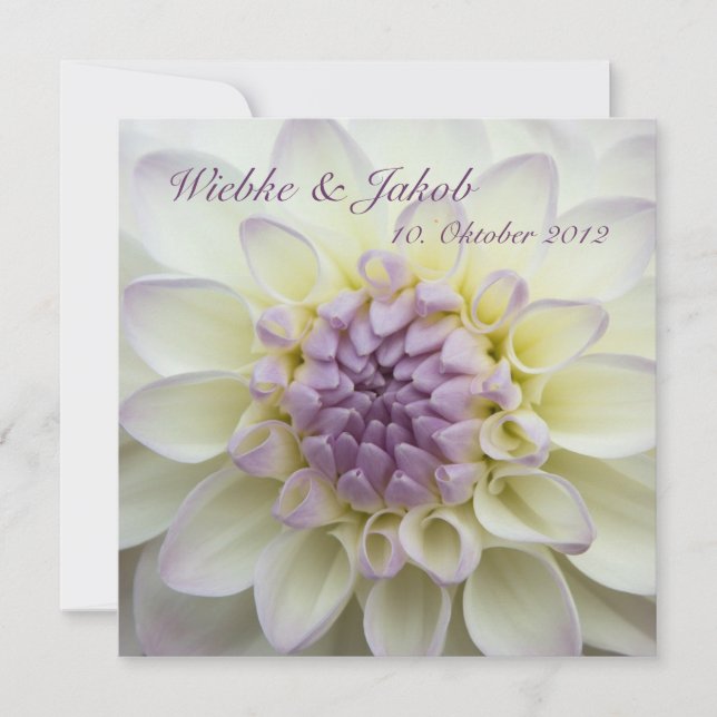 Lila Dahlie • Hochzeits-Einladung Einladung (Vorderseite)
