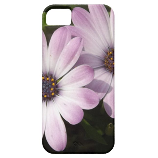 Lila Daisies Case-Mate iPhone Hülle (Rückseite)