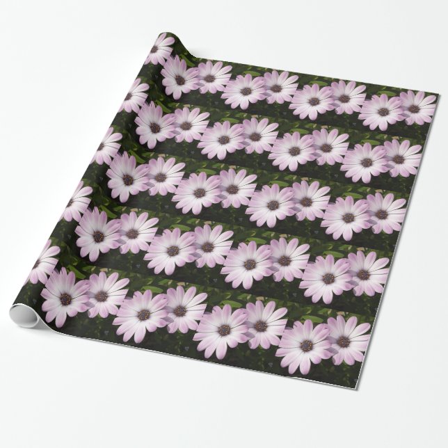Lila Daisies Geschenkpapier (Ungerollt)