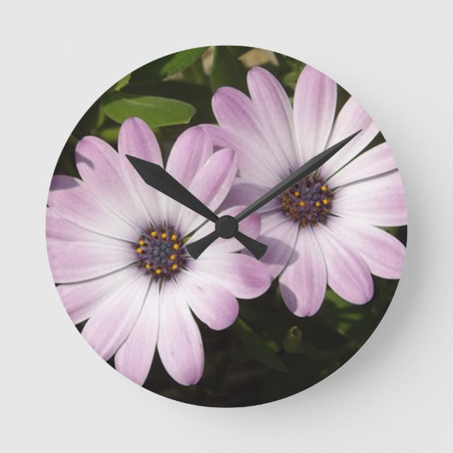 Lila Daisies Runde Wanduhr (Vorderseite)