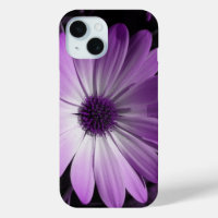 Lila Daisy-Blume