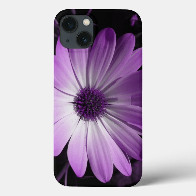 Lila Daisy Blume iPhone Case (Rückseite)
