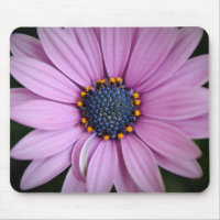 Lila Daisy Blume Mouse Pad