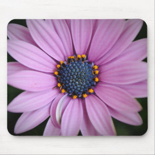 Lila Daisy Blume Mouse Pad Mousepad