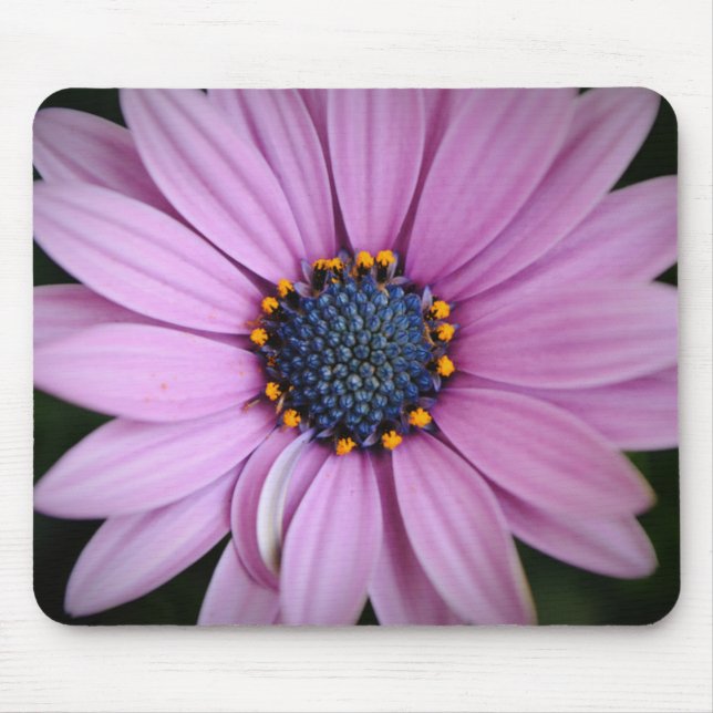 Lila Daisy Blume Mouse Pad Mousepad (Vorne)