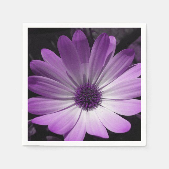 Lila Daisy Blume Napkins Serviette (Vorderseite)