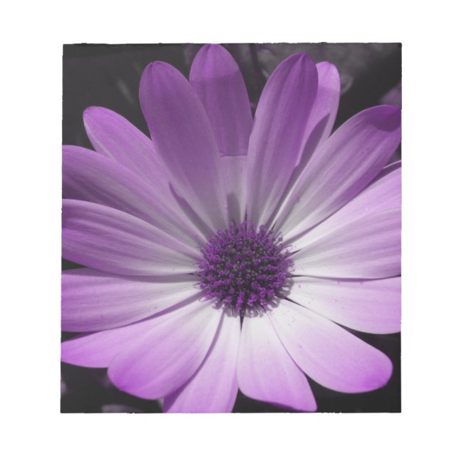 Lila Daisy Blume Notepad Notizblock (Vorderseite)