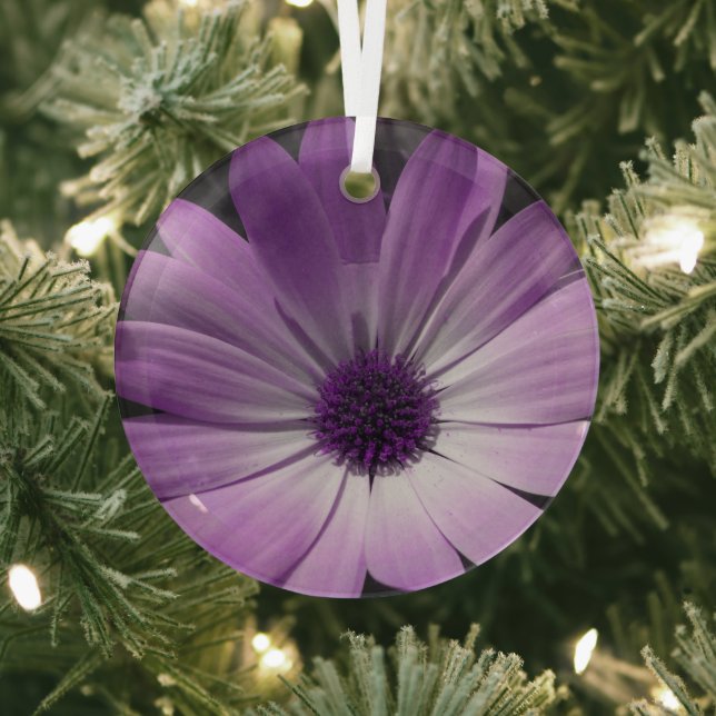 Lila Daisy-Blume Ornament Aus Glas (InSitu)