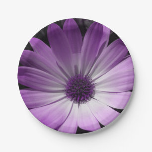 Lila Daisy Blume Paper Party Teller
