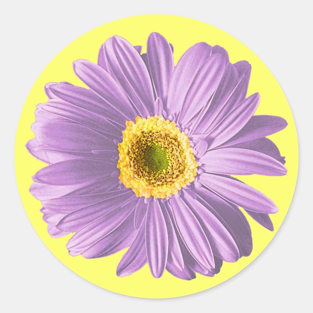 Lila Daisy-Blume Runder Aufkleber (Vorderseite)