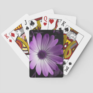 Lila Daisy Blume Spielkarten