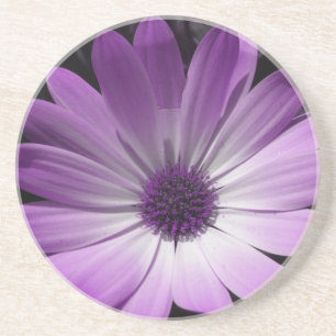 Lila Daisy Blume Untersetzer