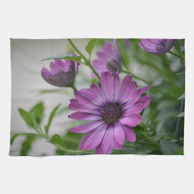 Lila Daisy Geschirrtuch (Horizontal)
