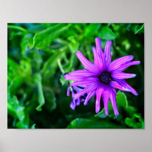 Lila Dämmerung im Sommergarten Poster