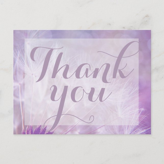 Lila Dandelion Vielen Dank, dass Sie die Postkarte (Vorderseite)