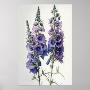 Lila Delphinium-Blume Art Print Poster