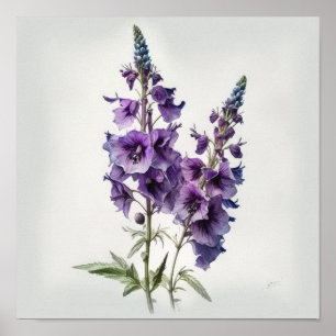 Lila Delphinium-Blume Art Print Poster