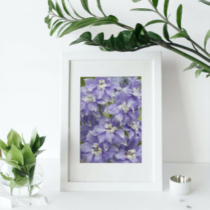 Lila Delphinium-Blüten Floral Fotodruck