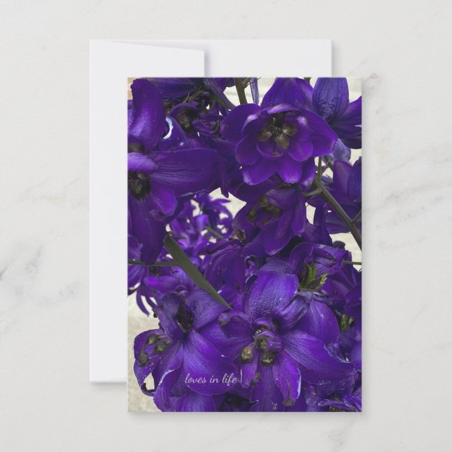 Lila Delphinium Mitteilungskarte (Vorderseite)