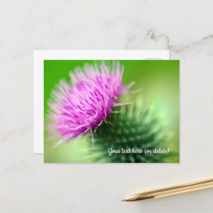 Lila Distel-Postkarte Postkarte