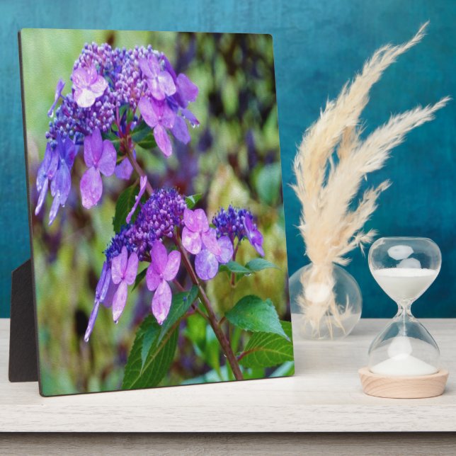 Lila Drehung und Shout Hydrangea-Blume Fotoplatte (Seite)