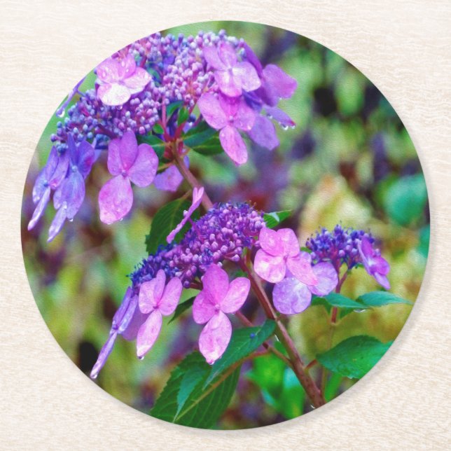 Lila Drehung und Shout Hydrangea-Blume Runder Pappuntersetzer (Vorderseite)