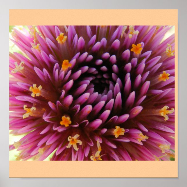 Lila Dunst Poster (Vorne)