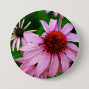 lila Echinacea-Taste Button
