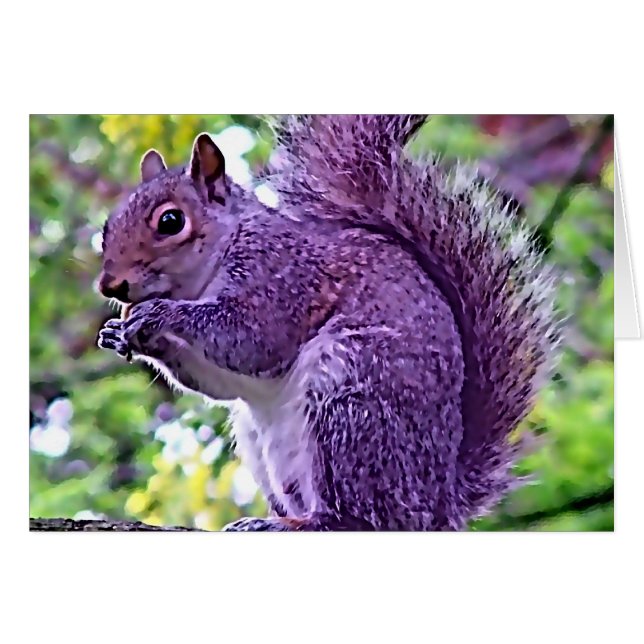 Lila Eichhörnchen (Vorderseite (Horizontal))