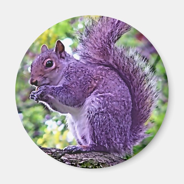 Lila Eichhörnchen Magnet (Vorne)