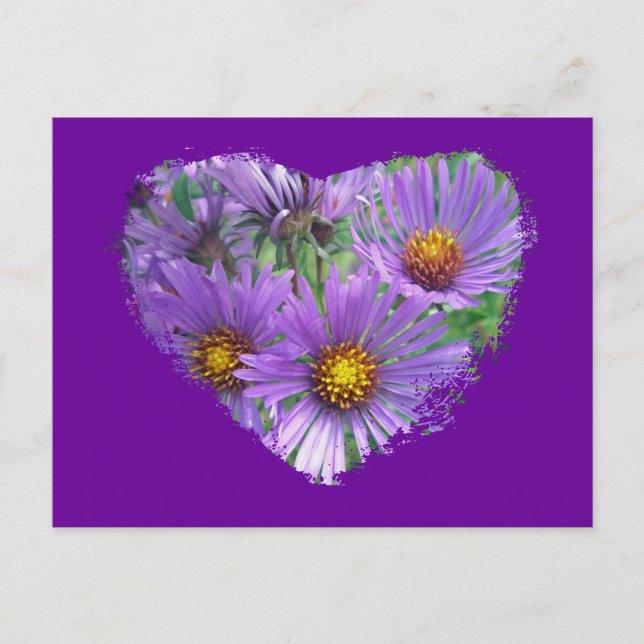 Lila Fall Asters-Wildblume-Matching-Elemente Postkarte (Vorderseite)