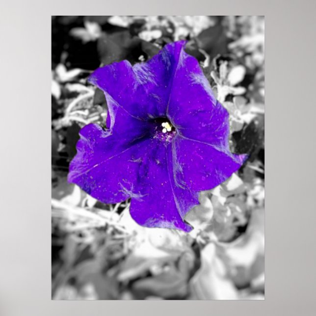 Lila Fieber Poster (Vorne)