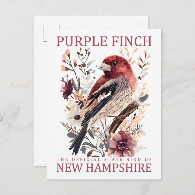 Lila Finch Bird of New Hampshire USA Travel Postkarte (Vorne/Hinten)