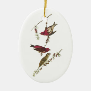 Lila Finch von Audubon Keramikornament